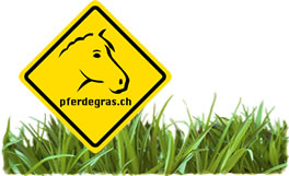 Logo Pferdegras